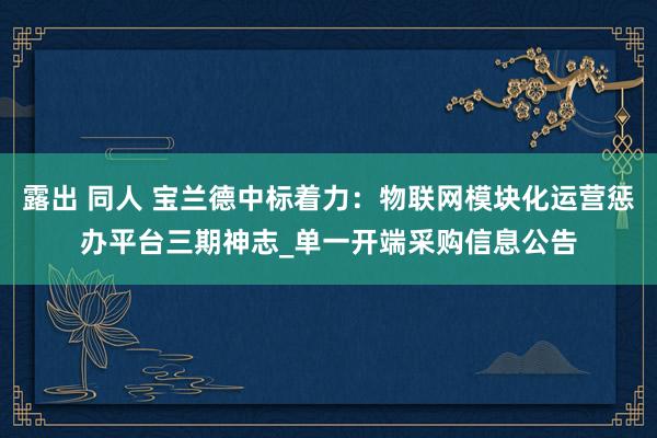 露出 同人 宝兰德中标着力：物联网模块化运营惩办平台三期神志_单一开端采购信息公告