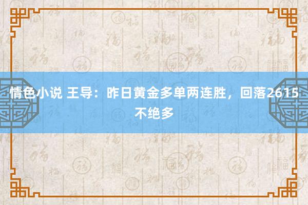 情色小说 王导：昨日黄金多单两连胜，回落2615不绝多