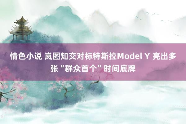 情色小说 岚图知交对标特斯拉Model Y 亮出多张“群众首个”时间底牌