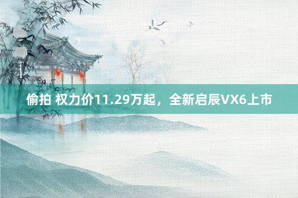 偷拍 权力价11.29万起，全新启辰VX6上市