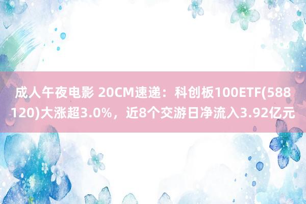 成人午夜电影 20CM速递：科创板100ETF(588120)大涨超3.0%，近8个交游日净流入3.92亿元