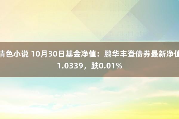 情色小说 10月30日基金净值：鹏华丰登债券最新净值1.0339，跌0.01%