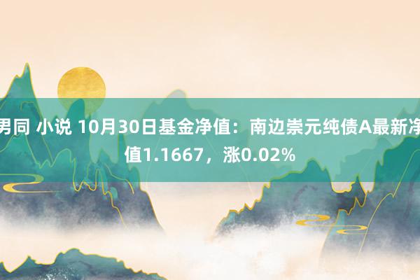 男同 小说 10月30日基金净值：南边崇元纯债A最新净值1.1667，涨0.02%