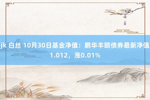 jk 白丝 10月30日基金净值：鹏华丰颐债券最新净值1.012，涨0.01%