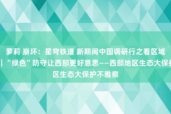 萝莉 崩坏：星穹铁道 新期间中国调研行之看区域·西部篇｜“绿色”防守让西部更好意思——西部地区生态大保护不雅察