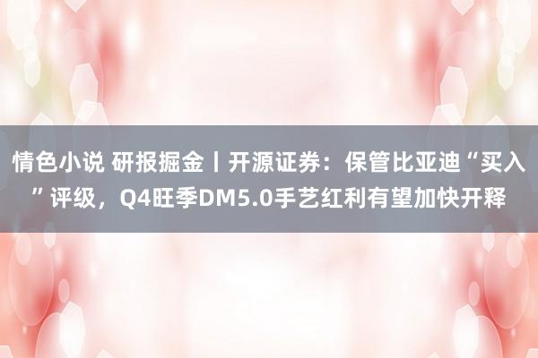 情色小说 研报掘金丨开源证券：保管比亚迪“买入”评级，Q4旺季DM5.0手艺红利有望加快开释