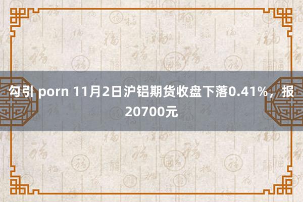 勾引 porn 11月2日沪铝期货收盘下落0.41%，报20700元