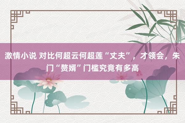 激情小说 对比何超云何超莲“丈夫”，才领会，朱门“赘婿”门槛究竟有多高