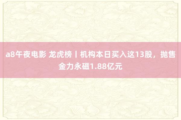 a8午夜电影 龙虎榜丨机构本日买入这13股，抛售金力永磁1.88亿元