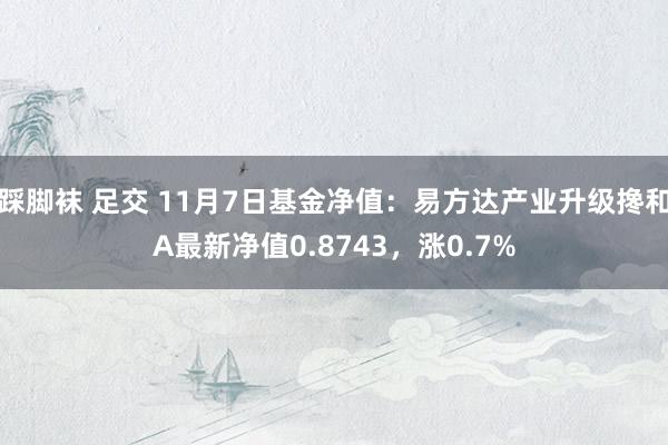 踩脚袜 足交 11月7日基金净值：易方达产业升级搀和A最新净值0.8743，涨0.7%