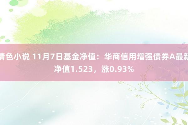 情色小说 11月7日基金净值：华商信用增强债券A最新净值1.523，涨0.93%