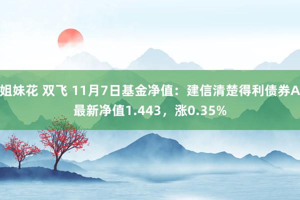 姐妹花 双飞 11月7日基金净值：建信清楚得利债券A最新净值1.443，涨0.35%