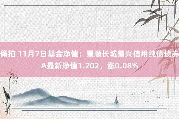 偷拍 11月7日基金净值：景顺长城景兴信用纯债债券A最新净值1.202，涨0.08%