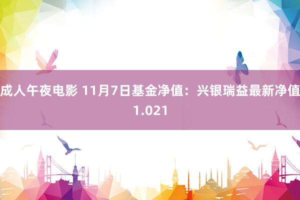 成人午夜电影 11月7日基金净值：兴银瑞益最新净值1.021