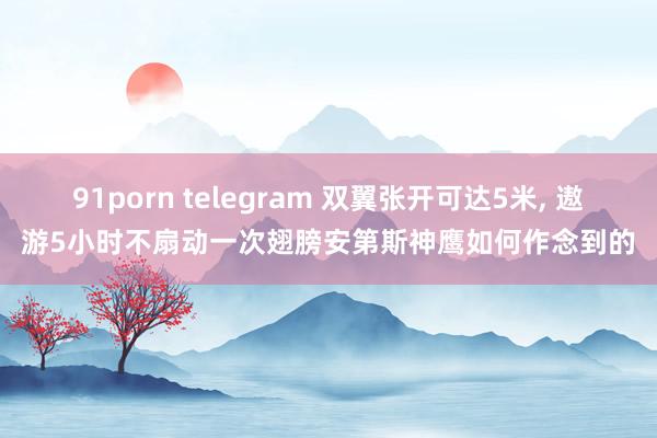 91porn telegram 双翼张开可达5米， 遨游5小时不扇动一次翅膀安第斯神鹰如何作念到的