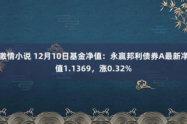 激情小说 12月10日基金净值：永赢邦利债券A最新净值1.1369，涨0.32%