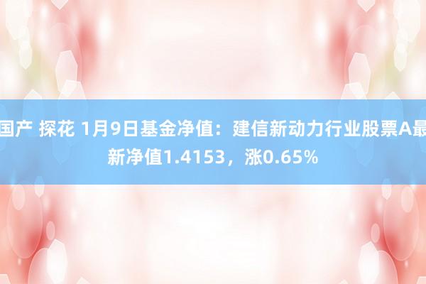 国产 探花 1月9日基金净值：建信新动力行业股票A最新净值1.4153，涨0.65%