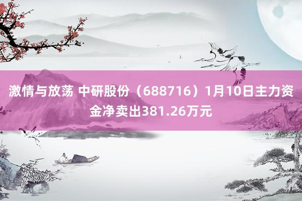 激情与放荡 中研股份（688716）1月10日主力资金净卖出381.26万元